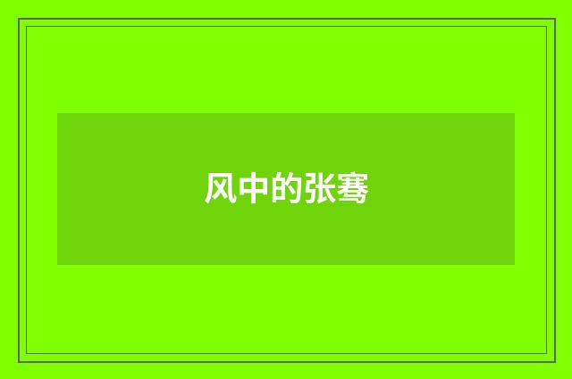 风中的张骞
