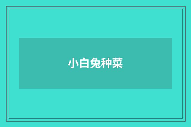 小白兔种菜