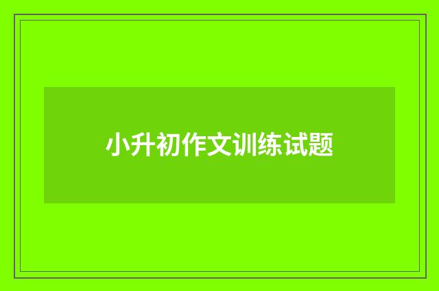 小升初作文训练试题