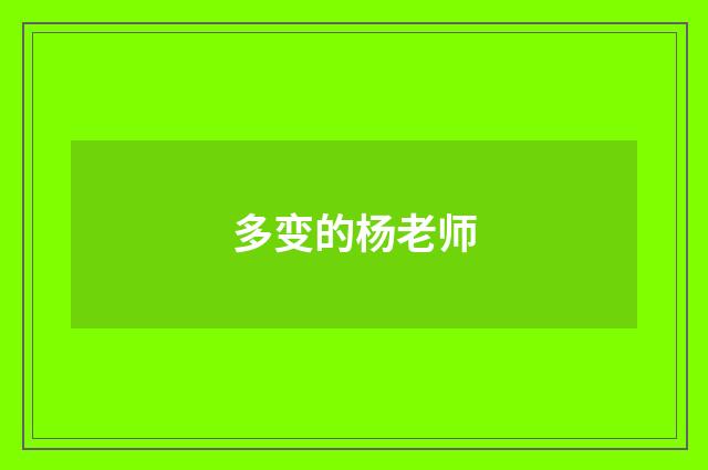 多变的杨老师