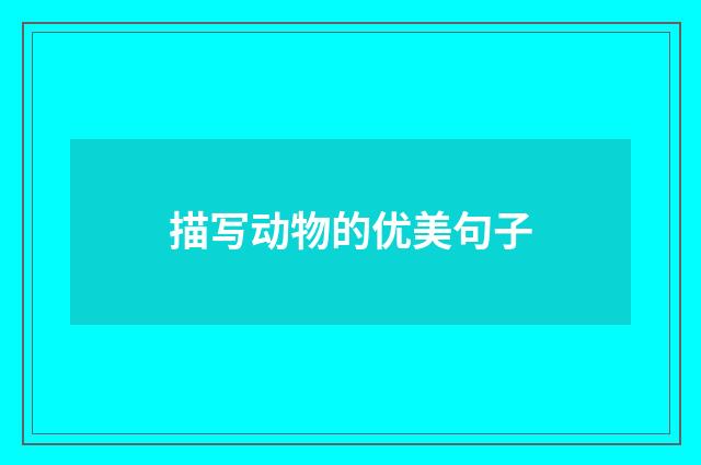 描写动物的优美句子