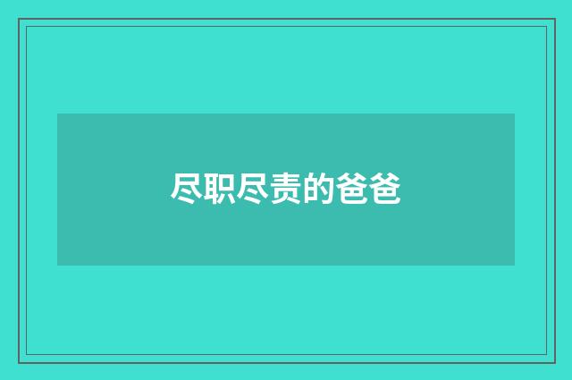 尽职尽责的爸爸