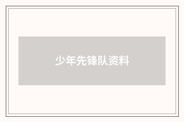 少年先锋队资料