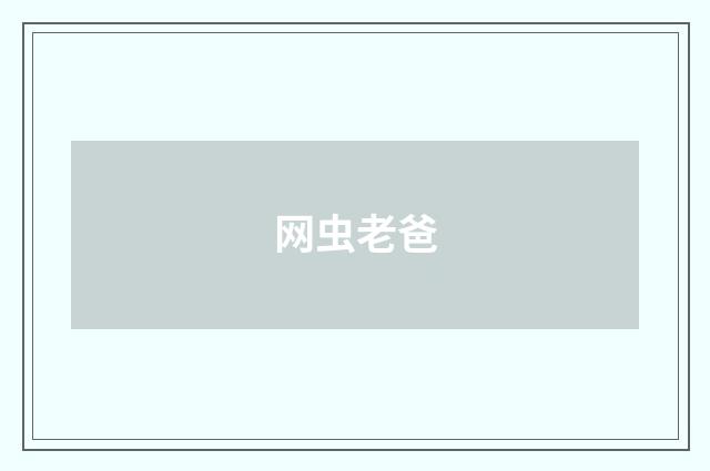 网虫老爸