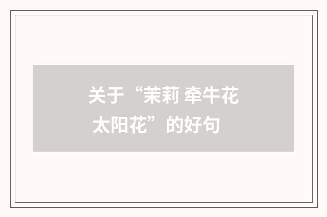 关于“茉莉 牵牛花 太阳花”的好句