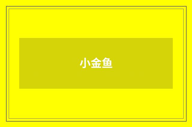 小金鱼