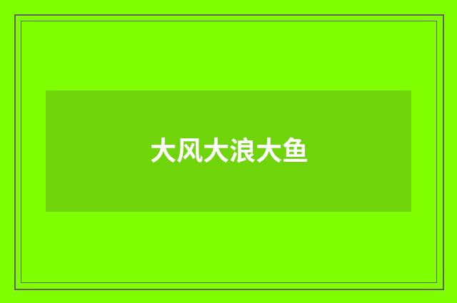 大风大浪大鱼