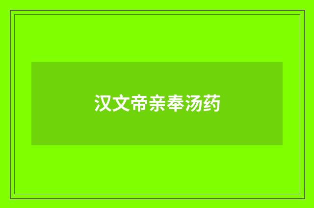 汉文帝亲奉汤药