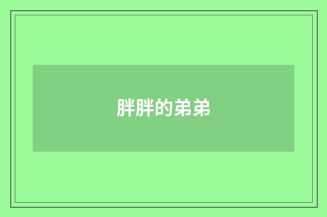 胖胖的弟弟