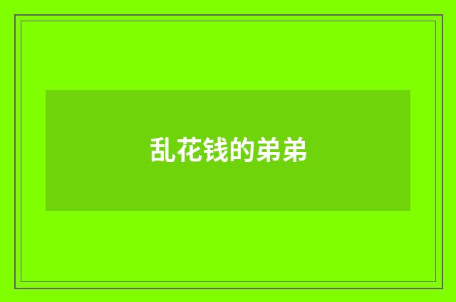 乱花钱的弟弟