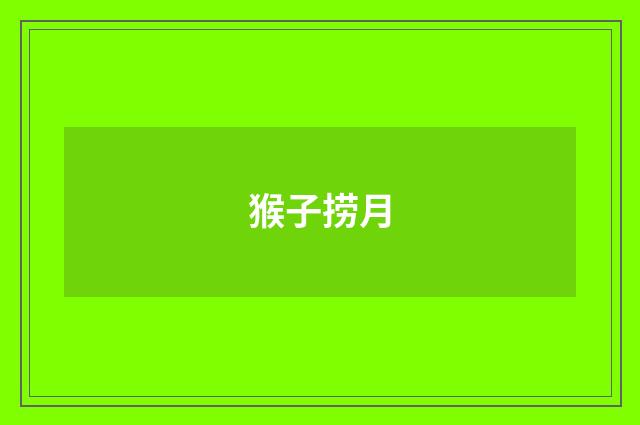 猴子捞月