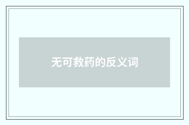 无可救药的反义词