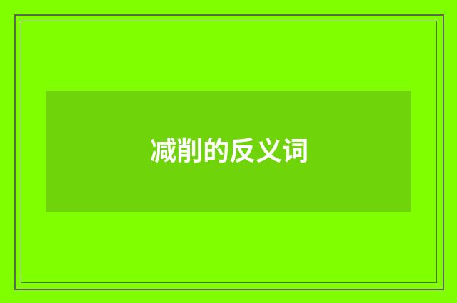 减削的反义词